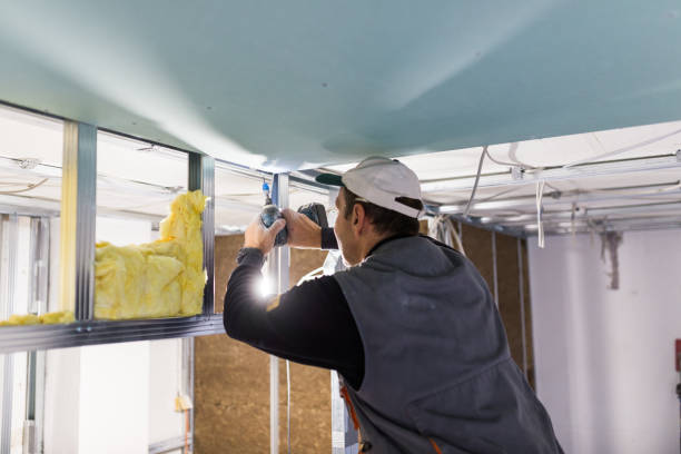 Best Specialty Insulation in Bagdad, AZ